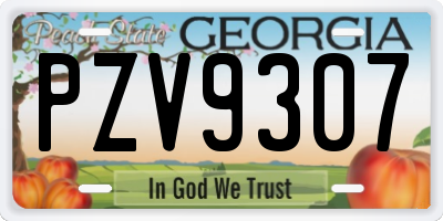 GA license plate PZV9307