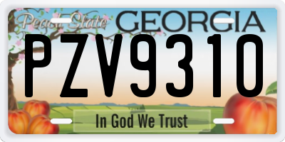 GA license plate PZV9310