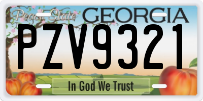 GA license plate PZV9321