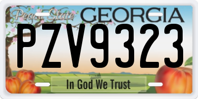 GA license plate PZV9323