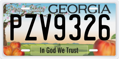 GA license plate PZV9326