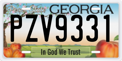 GA license plate PZV9331