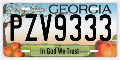 GA license plate PZV9333