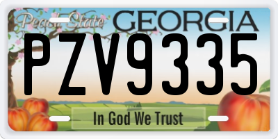 GA license plate PZV9335