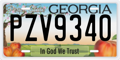 GA license plate PZV9340