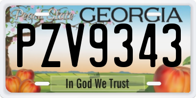 GA license plate PZV9343