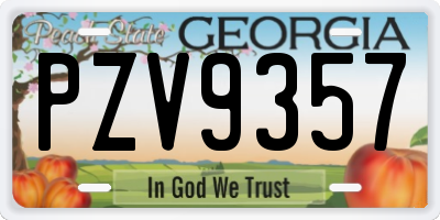 GA license plate PZV9357