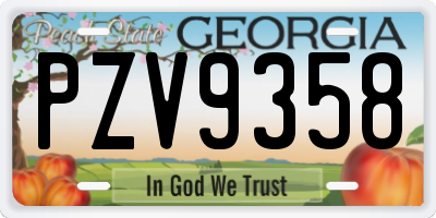 GA license plate PZV9358