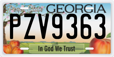 GA license plate PZV9363