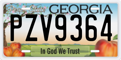 GA license plate PZV9364