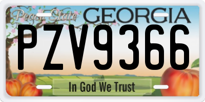 GA license plate PZV9366