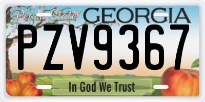 GA license plate PZV9367