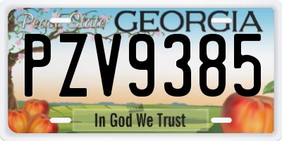 GA license plate PZV9385