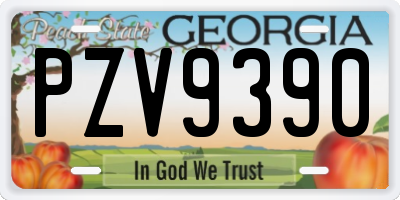 GA license plate PZV9390