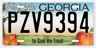 GA license plate PZV9394