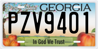 GA license plate PZV9401