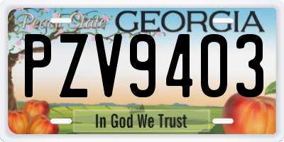 GA license plate PZV9403