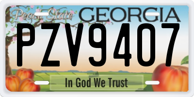 GA license plate PZV9407
