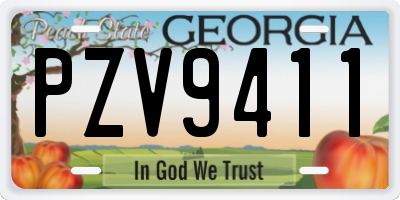 GA license plate PZV9411
