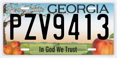 GA license plate PZV9413