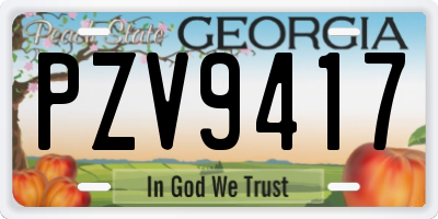 GA license plate PZV9417