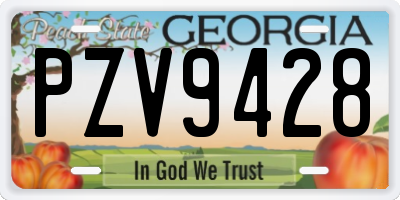 GA license plate PZV9428
