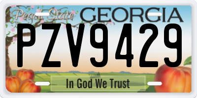 GA license plate PZV9429