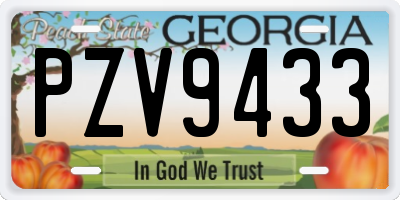GA license plate PZV9433