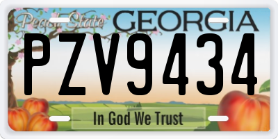 GA license plate PZV9434