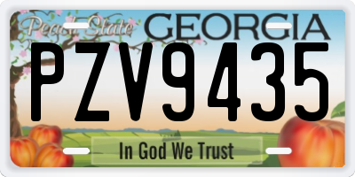 GA license plate PZV9435