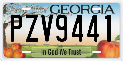 GA license plate PZV9441