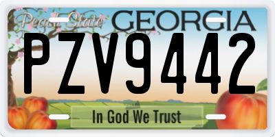 GA license plate PZV9442