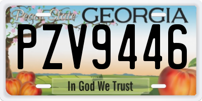 GA license plate PZV9446