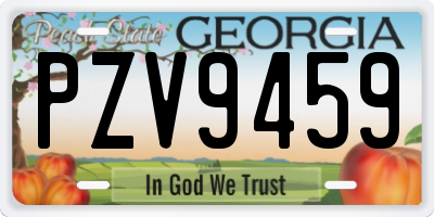 GA license plate PZV9459