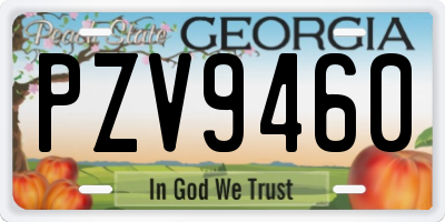 GA license plate PZV9460