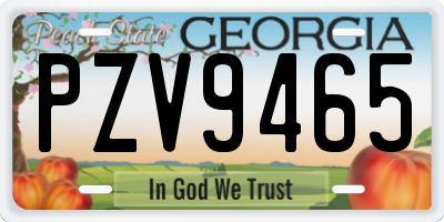GA license plate PZV9465