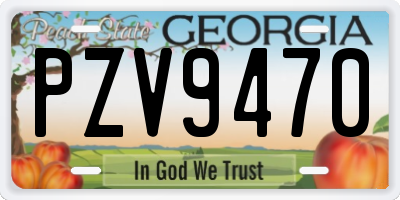 GA license plate PZV9470