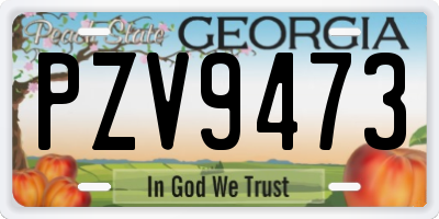 GA license plate PZV9473