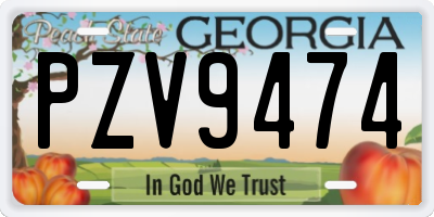 GA license plate PZV9474