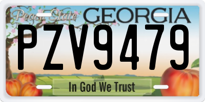 GA license plate PZV9479