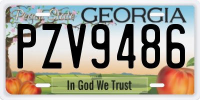GA license plate PZV9486