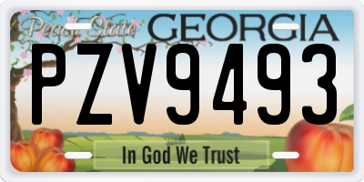 GA license plate PZV9493