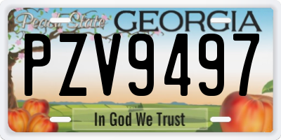 GA license plate PZV9497