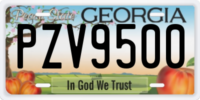 GA license plate PZV9500