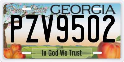 GA license plate PZV9502