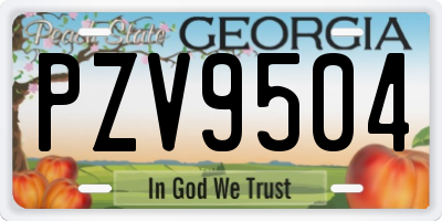 GA license plate PZV9504