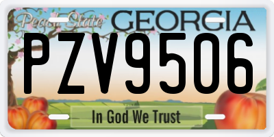 GA license plate PZV9506