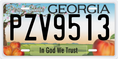 GA license plate PZV9513
