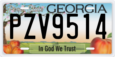 GA license plate PZV9514