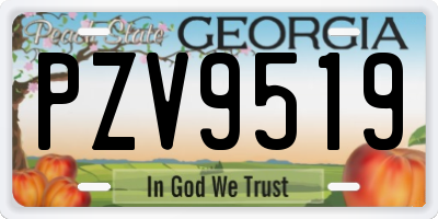 GA license plate PZV9519